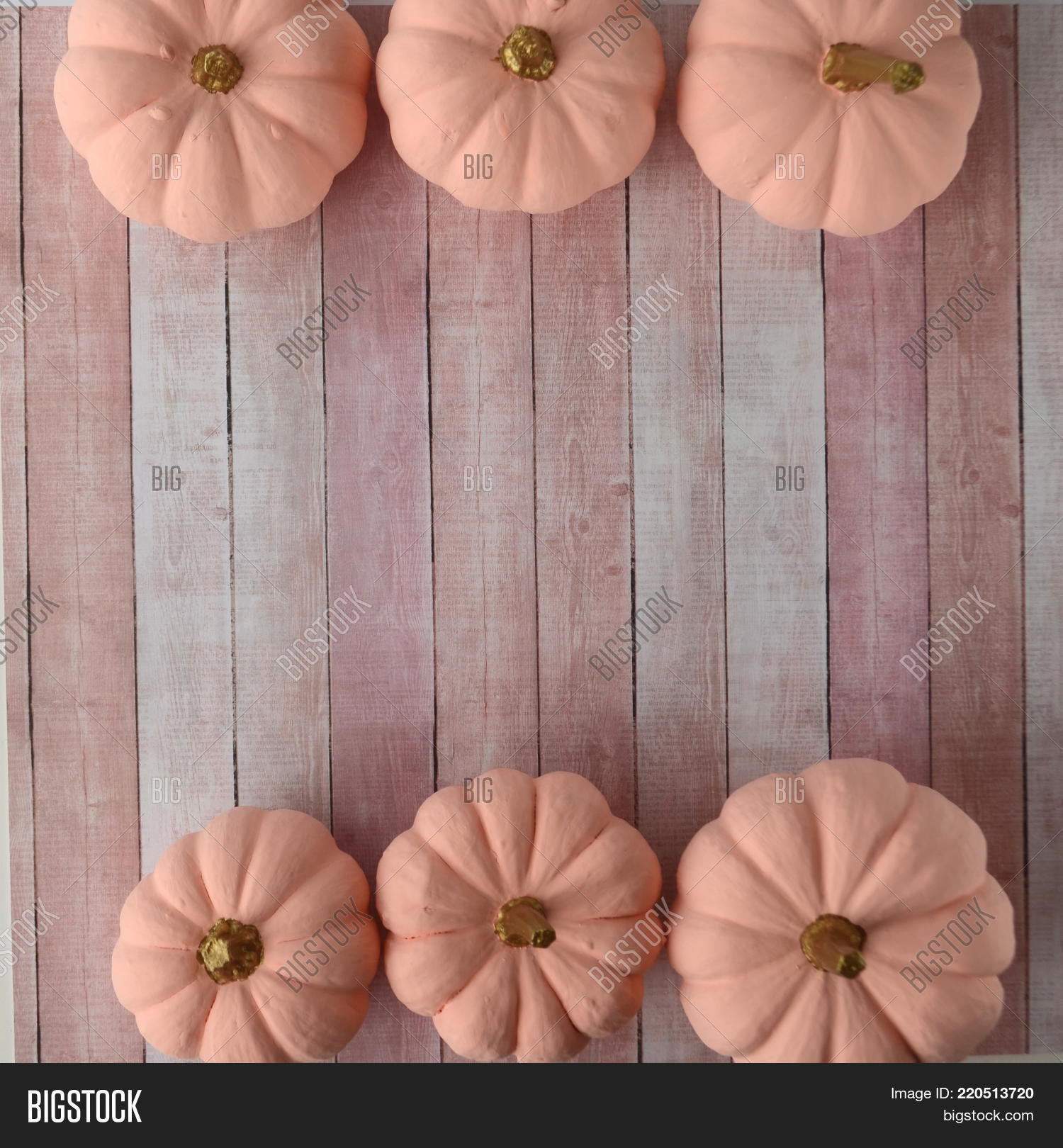 Blush Pink Pumpkins Image & Photo (Free Trial) | Bigstock