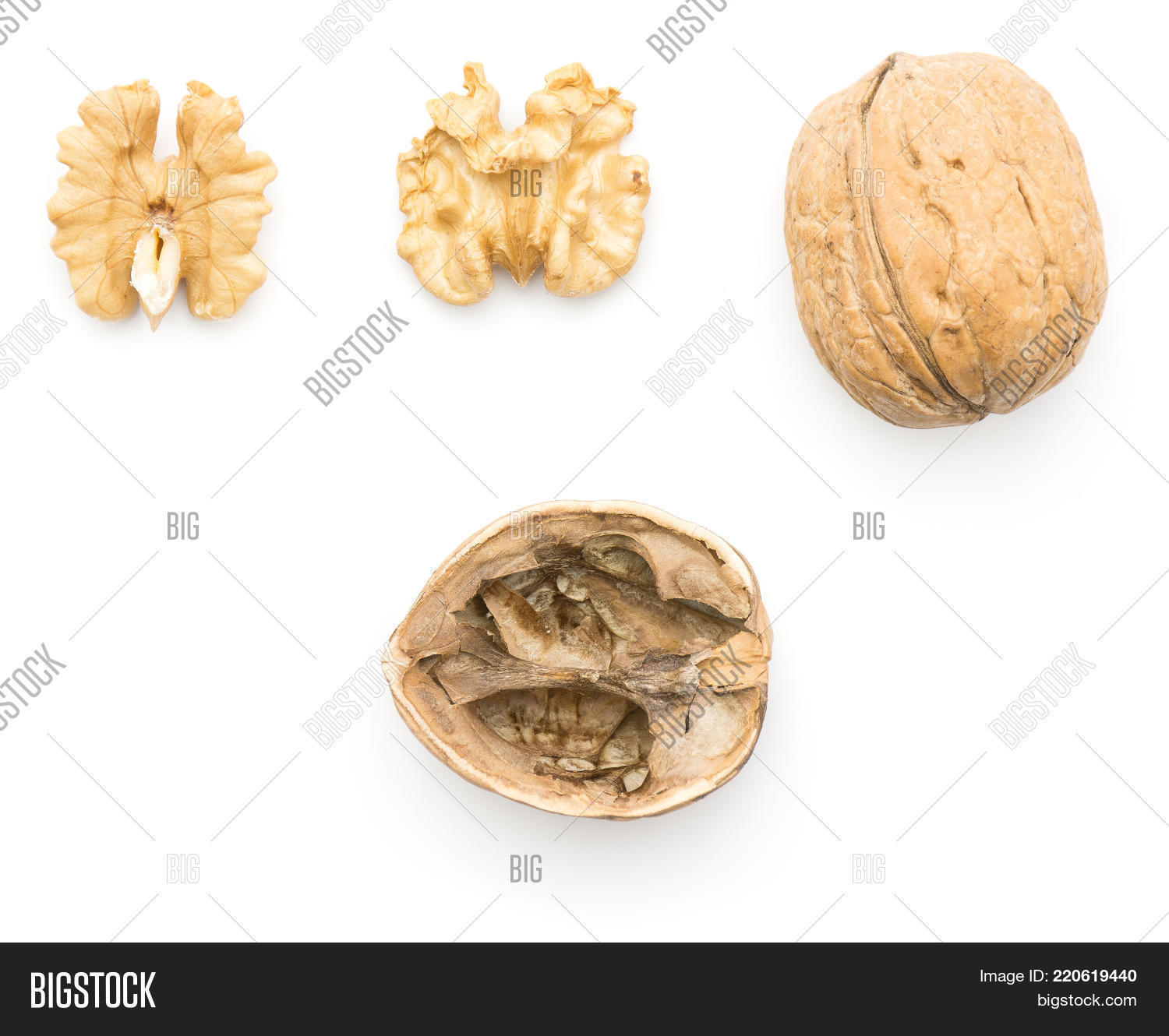 Walnuts Collection Walnut Collection Image & Photo (Free Trial) | Bigstock