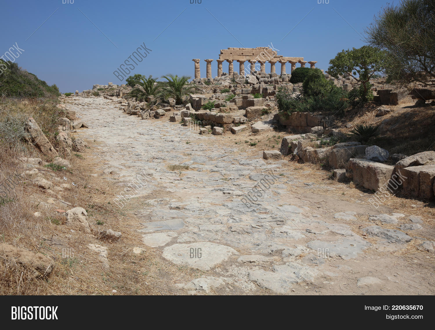 Image Preview