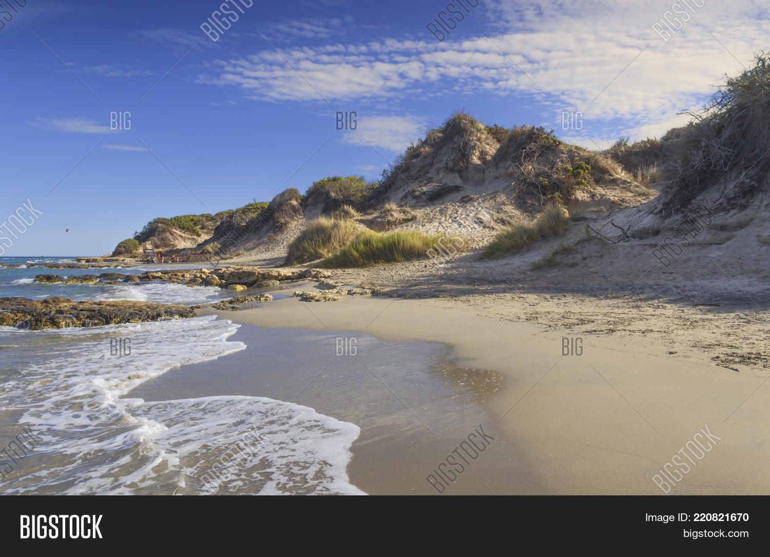 Image Preview