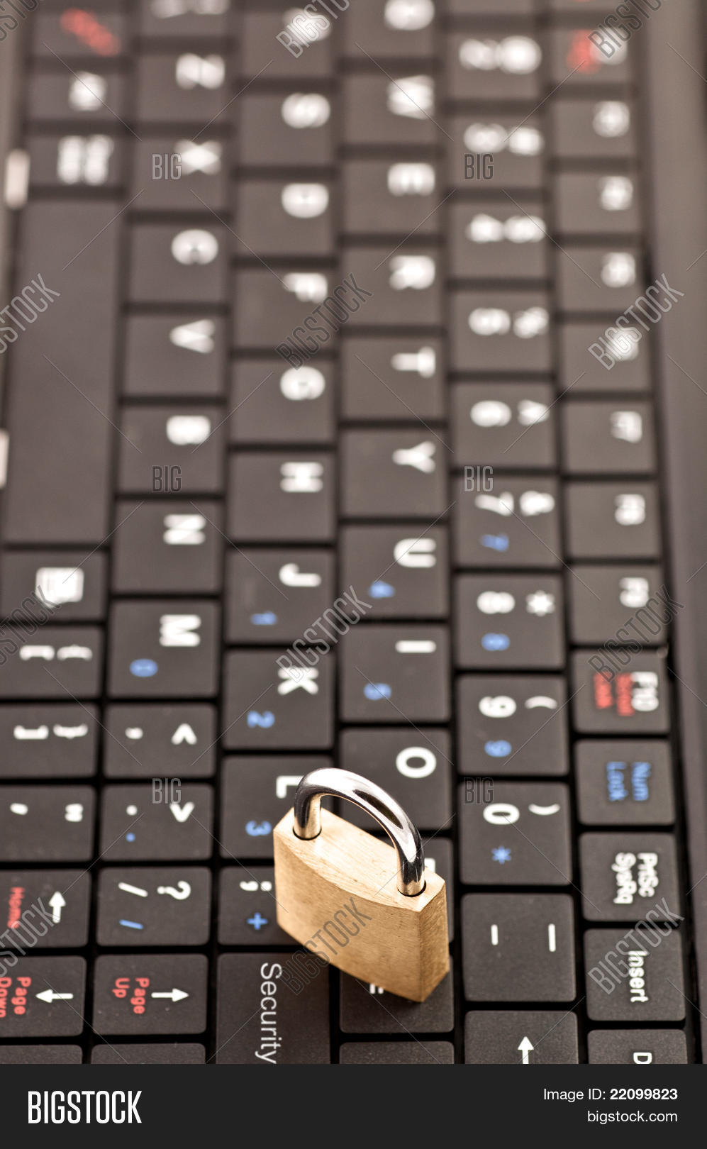 Image Preview
