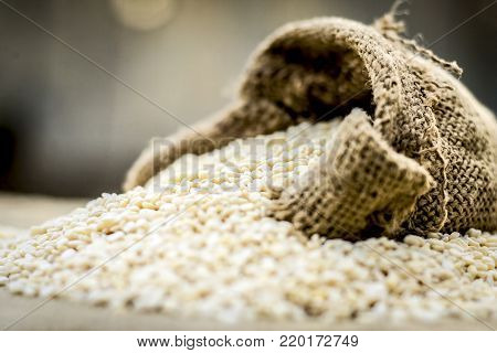 Raw Organic White Lentil,vigna Mungo In A Gunny Bag.