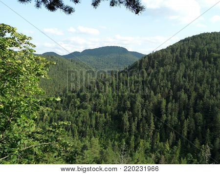 View Of National Park Slovak Paradise From Tomasovsky Vyhlad, Slovakia