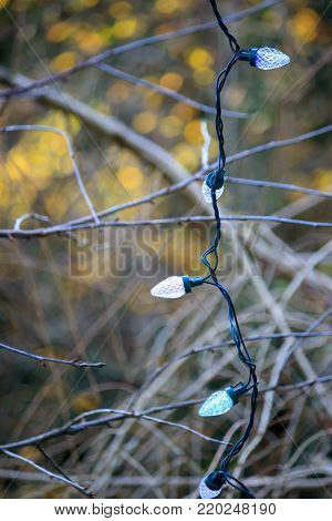 christmas lights on a string hang outside in the evening with copy space.