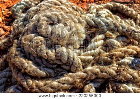 Old thick rope with tied knots rolled on the ground. Thick is unwound from the time the rope lies on the red clay soil. Tinted