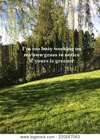 Conceptual landscape view with white inspirational quote on trees and lush green grass on sunny day. I'm too busy working on my own grass to notice if yours is greener. Inspirational typography