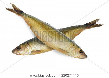 bloater under the white background