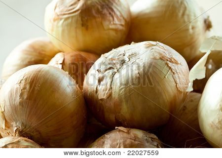 Cibule
