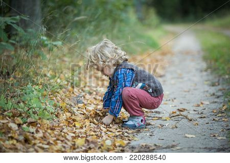 Young blonde boy with long curly hair playing in outdoor in autumnal forest.