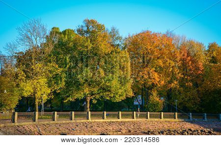 Vyborg, Russia - Oct 5, 2016. Trees at an autumn park in Vyborg, Russia. Vyborg is 174km northwest of St Petersburg, and just 30km from the Finnish border.