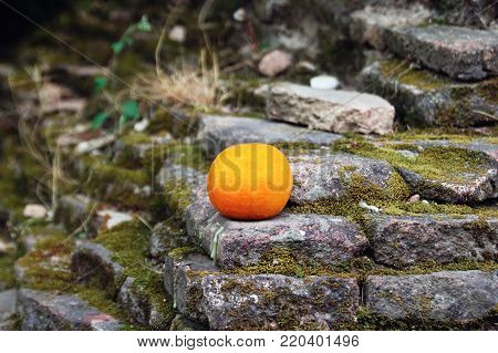 Fresh mandarin on the steps of an Asian temple. Chiangmai, Thailand.