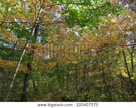 Matthiessen State Park starting to show early fall colors