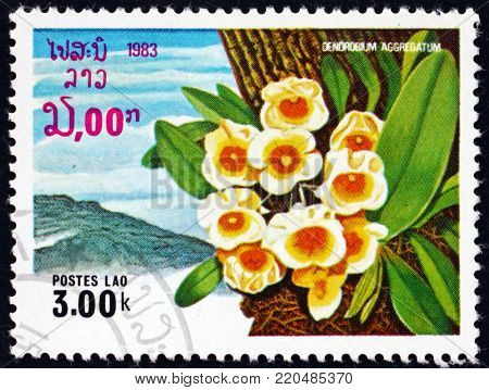LAOS - CIRCA 1983: a stamp printed in Laos shows dendrobium aggregatum, orchid, circa 1983