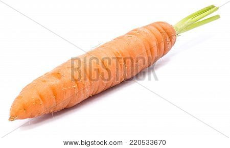 One fresh long orange carrot isolated on white background