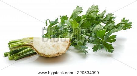 One quarter of celeriac and fresh celery bunch isolated on white background