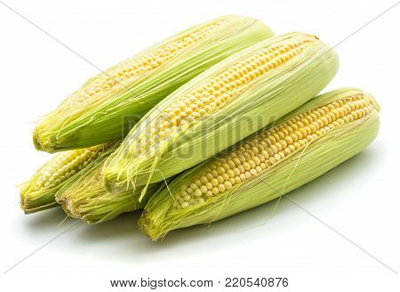 Heap of sweet corn isolated on white background