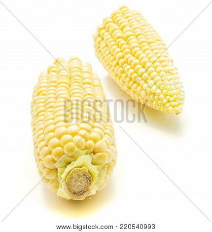 Two halves of corn on the cob isolated on white background