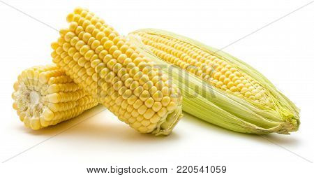 One whole and brocken corn isolated on white background