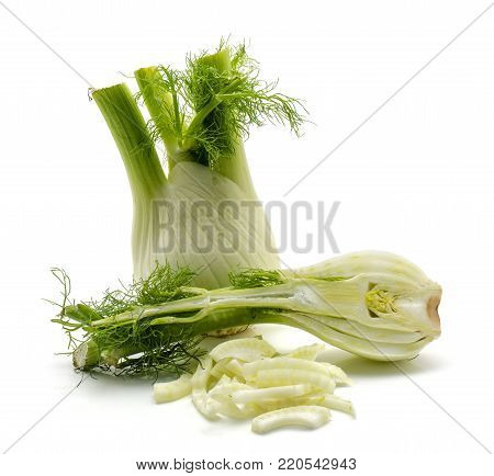 Florence fennel isolated on white background one bulb one half and blanched pieces