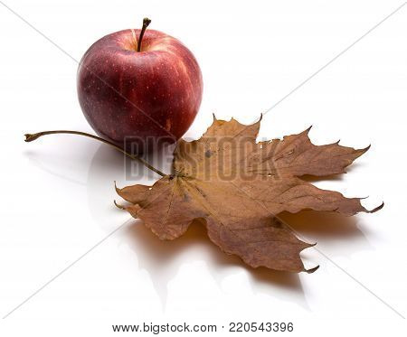 One whole Gala apple with maple leaf isolated on white background autumn composition