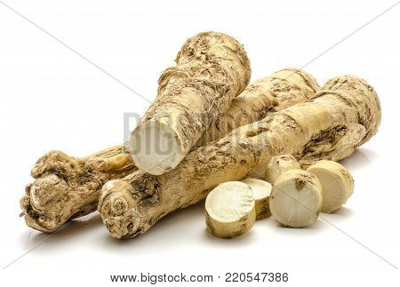 Two whole one half and sliced circles of fresh horseradish root isolated on white background