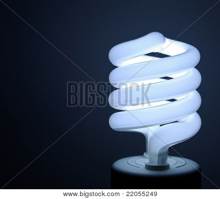 Florescent Bulb