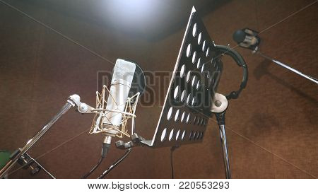 Microphone With Shockmount And Pop Filter