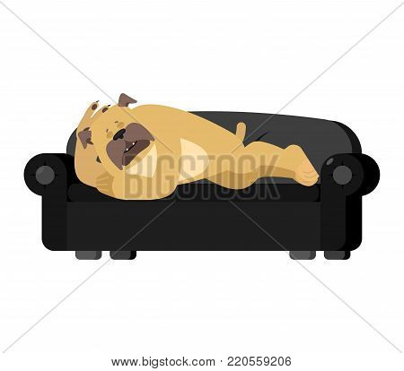 Dog sleeping on couch. Pet asleep. bulldog dormant. Vector illustration