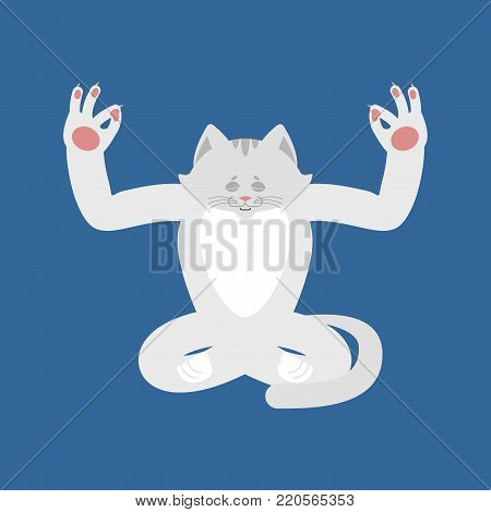 Cat yoga. Pet yogi isolated. kitty Relaxation and meditation. Vector illustration