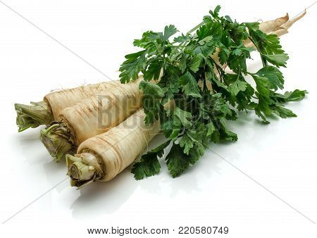 Three fresh parsley root isolated on white background with leaves on it