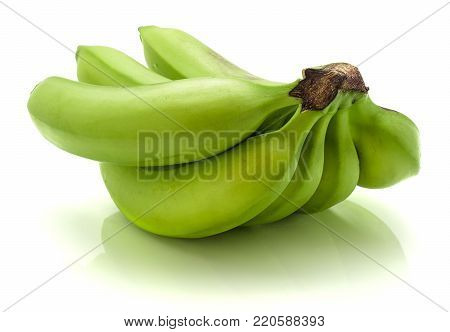 Green plantain cluster isolated on white background