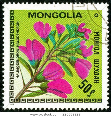 Ukraine - circa 2018: A postage stamp printed in Mongolia shows drawing Flower Halimodendron halodendron. Series: Flowers. Circa 1979.