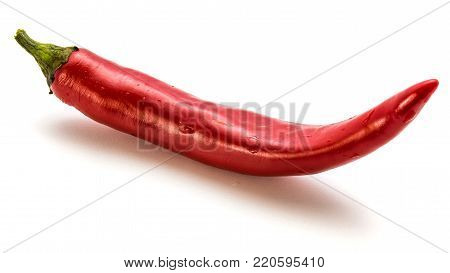 Fresh Red Chilli isolated on white background