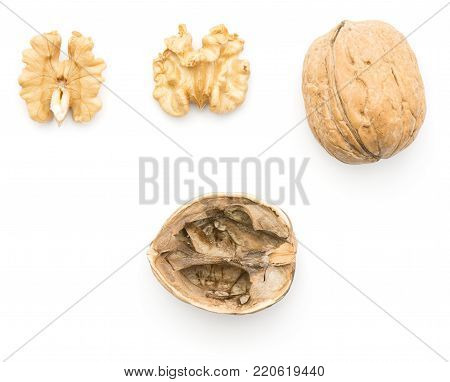 Walnut collection pattern top view isolated on white background one whole unshelled two different sides of shelled nut and hollow shell