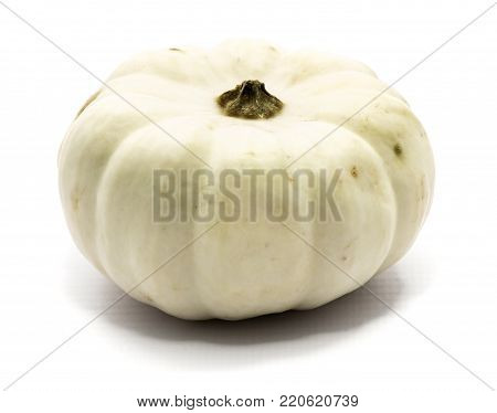 One whole white pumpkin isolated on white background