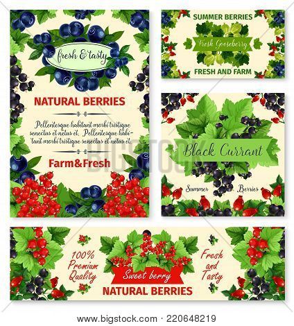 Berry summer fruit banner template set. Blueberry, red currant, blackcurrant, gooseberry and briar vector poster. Garden and wild berry with green leaf frame and badge with ribbon banner, food design