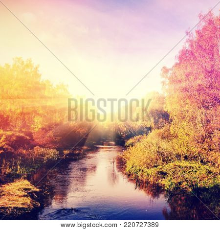 Wonderful  landscape with autumn trees in forest, over the river. colorful  foliage onthe perfect sky on the background, gloving in snlight. vintage style. inctagram effect