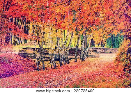 wonderful autumn landscape. majectic trees with colored leaf retro style. instagram effect. artistic creative image. used as background