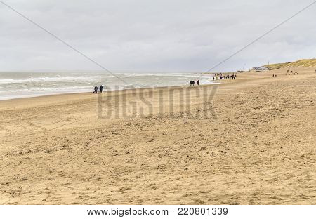 Coastal Beach Scenery