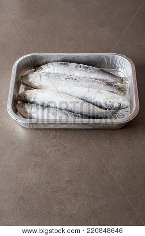 Frozen Sardines. Cornish. For Grill And Bbg. Dark Background.