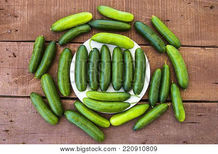 Fresh cucumber pictures on a white background, natural and organic cucumbers, cucumber pictures cut with a knife in a basket
Natural and organic tomatoes and cucumbers to consume and human health, natural vegetables
It would be great to have salad and cuc