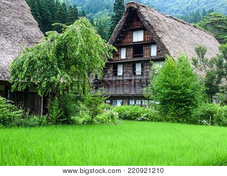 Gassho-zukuri house , Historic Village of Shirakawa-go in summer , Japan