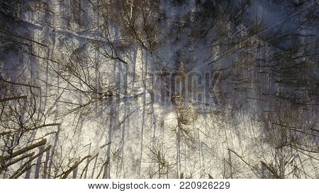 Top down aerial drone image of a forest in the middle of winter.  No leaves on the trees and snow covering the ground.
