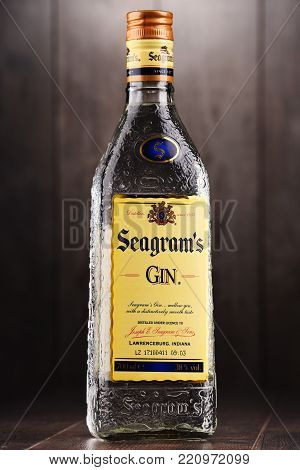 Bottle Of Seagrams Gin
