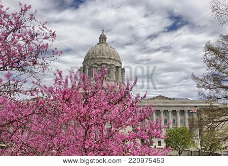 Dome of missouri state capital in Jefferson City with spring tree blossoms