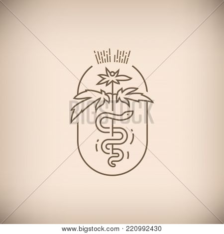 Marijuana And Snake Brown Emblem