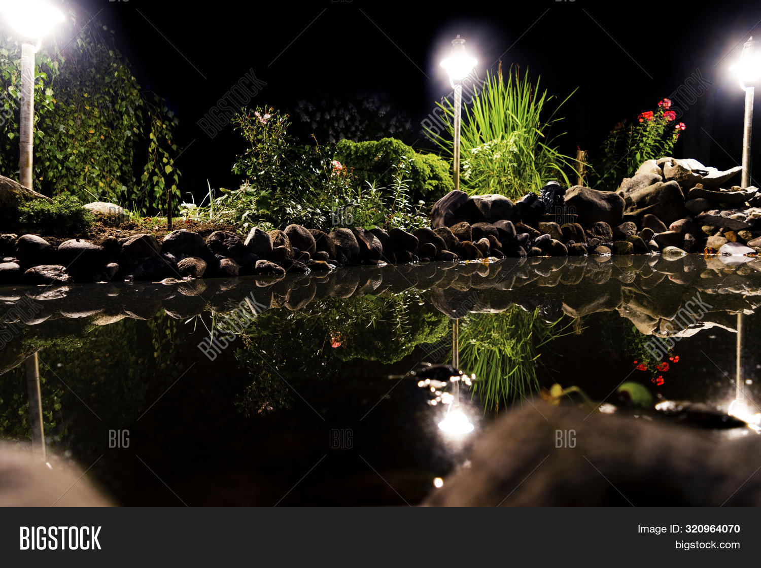 Garden Pond Night. Image & Photo (Free Trial) Bigstock