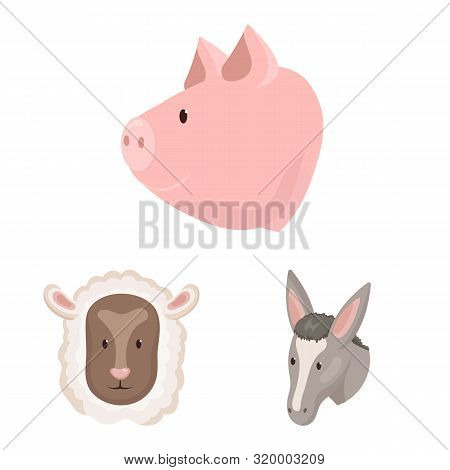 Vector Design Of Farm And Head Icon. Collection Of Farm And Homemade Stock Vector Illustration.
