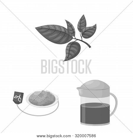Vector Illustration Of Green And Black Icon. Set Of Green And Organic Vector Icon For Stock.