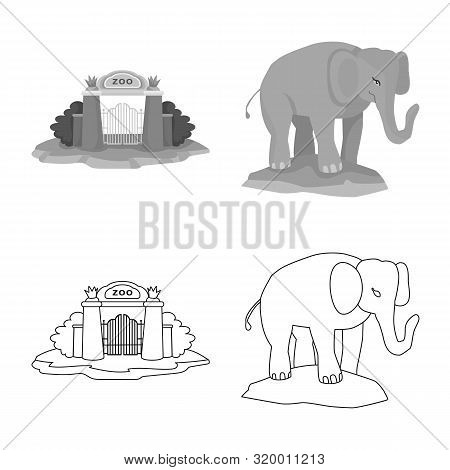 Isolated Object Of Nature And Fun Sign. Set Of Nature And Entertainment Stock Vector Illustration.